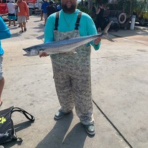 Meet your Posher, Mike